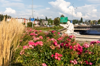 Radomsko w obiektywie - fotospacer